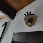 Montanhas Do Xisto - Casa Do Portal Prázdninový dům