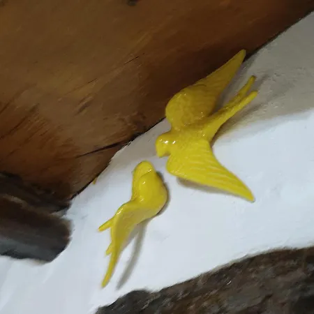 Montanhas Do Xisto - Casa Do Portal بيت للعطل