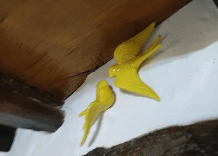 Montanhas Do Xisto - Casa Do Portal Casa de Férias