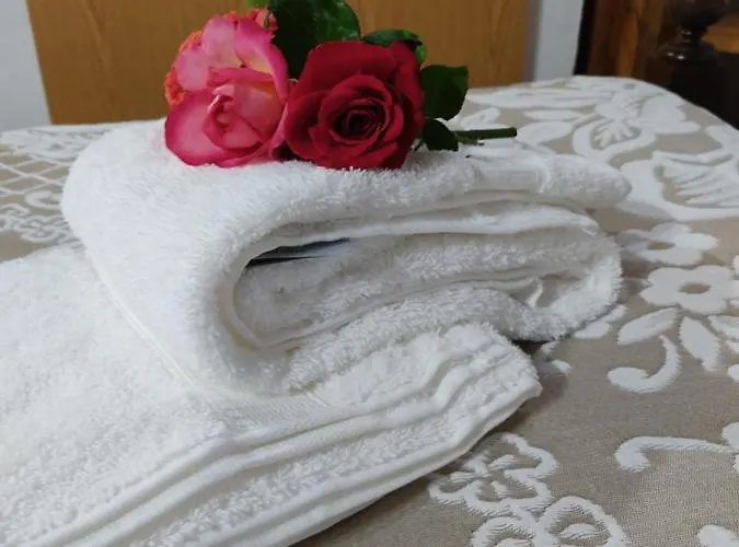 Montanhas Do Xisto - Casa Do Portal Casa de Férias *